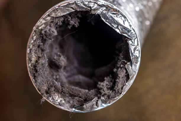 Best Local Air Duct Cleaning Services  in Waynesboro, VA