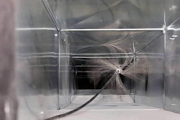 Best Dryer Vent Cleaning Services  in Waynesboro, VA